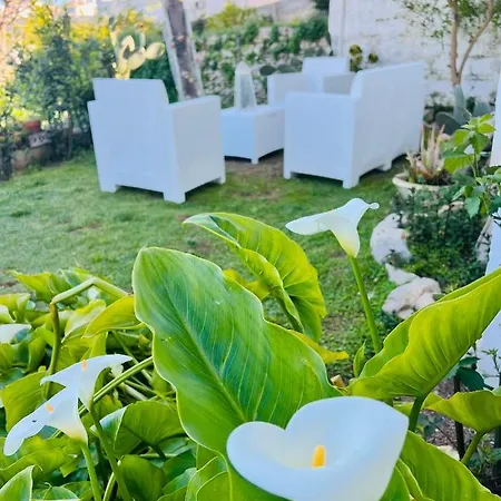 Casa Agrumeto 30 *